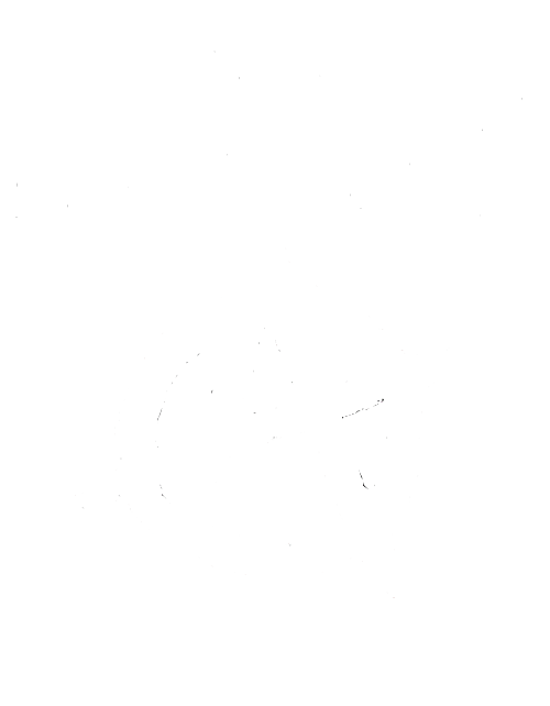 Anarchy Submission Gear